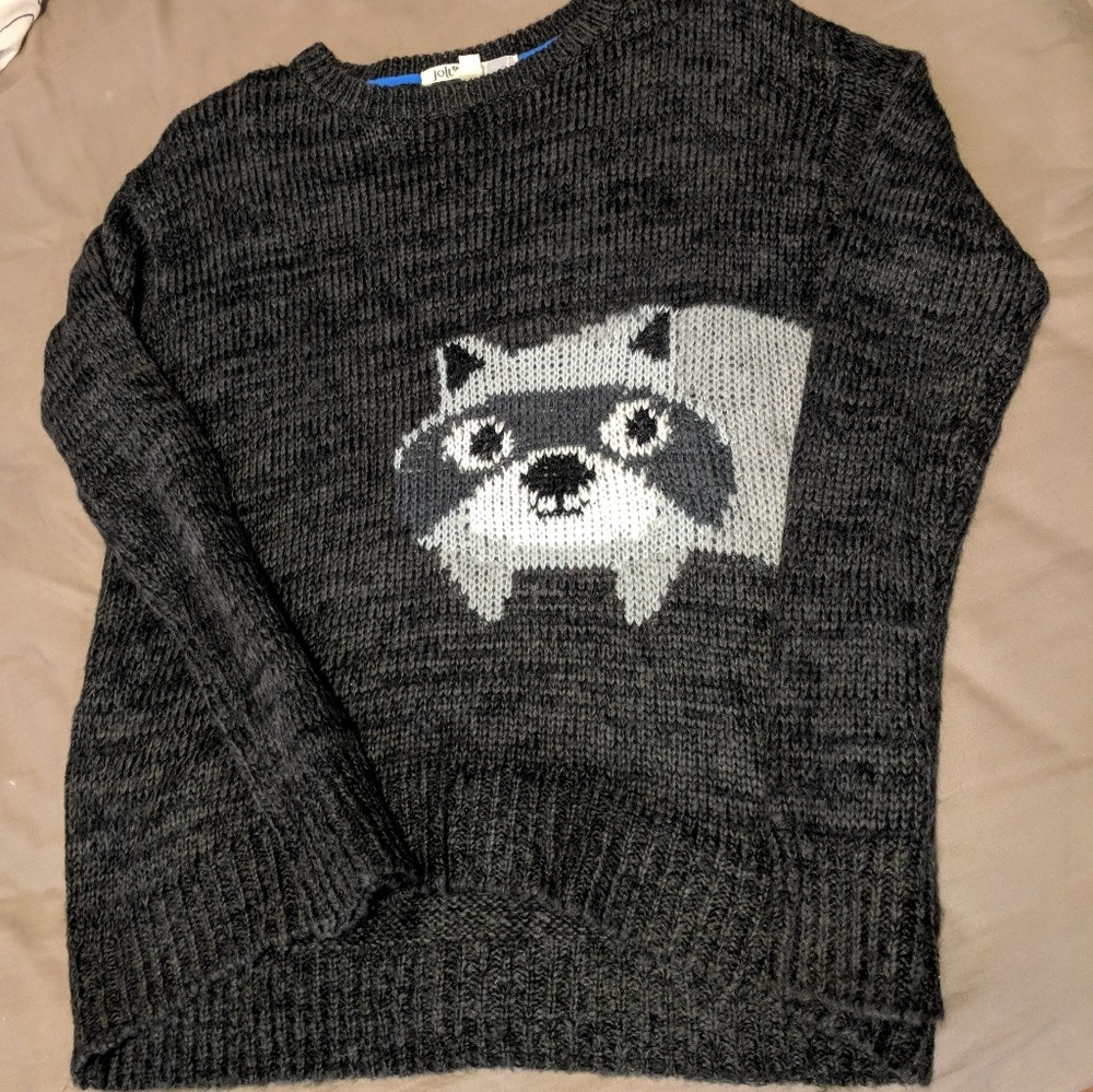 Raccoon sweater
